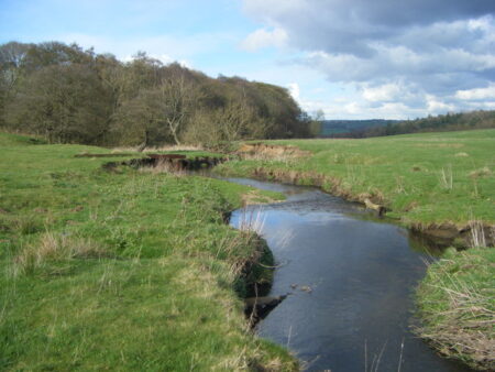 East of Beamish on the Heritage Way and then to Brightlea Wood – Bill's ...